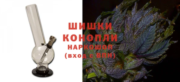 сатива Армянск