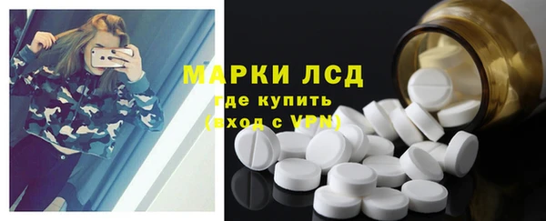 spice Аркадак