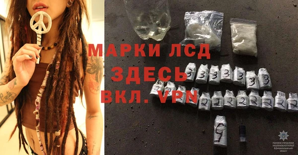 spice Аркадак