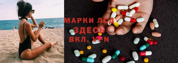 spice Аркадак