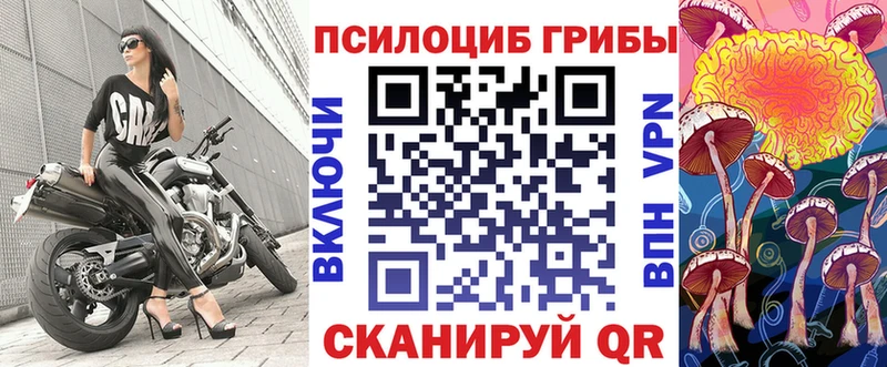 Галлюциногенные грибы Psilocybine cubensis  где можно купить наркотик  Пудож 